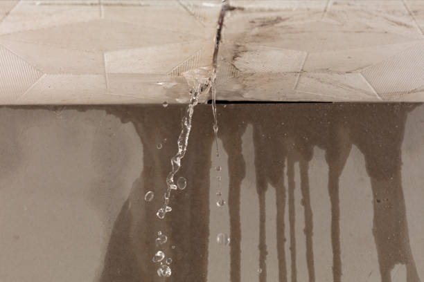 Professional Water Damage Inspection technician working in Glencoe, FL